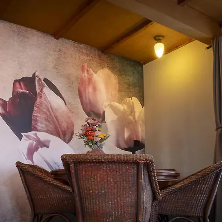 公寓 De Bollenkamer 齐尔克