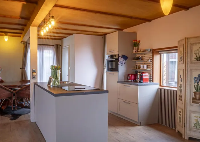 De Bollenkamer 公寓 *