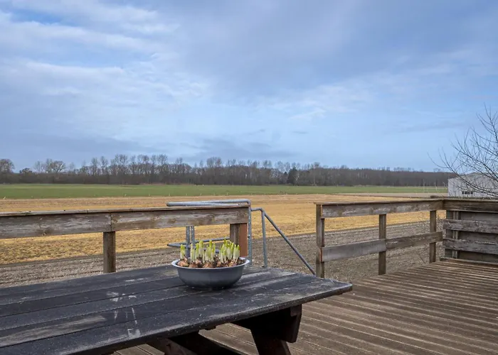 De Bollenkamer 公寓 齐尔克