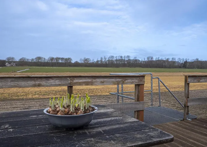 公寓 De Bollenkamer *