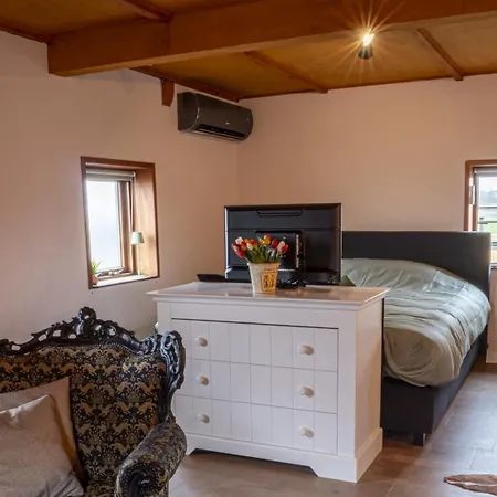 De Bollenkamer Apartment
